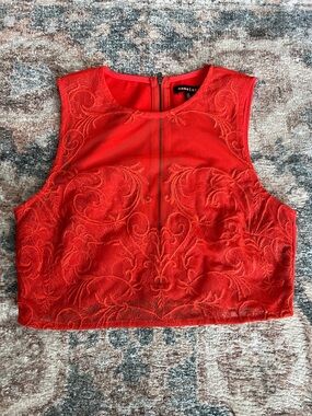 Nameless Bright Red/Orange Embroidered Lace Sheer Crop Top